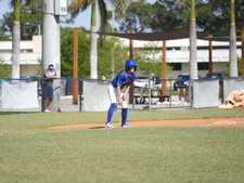 Enlarge photo 597