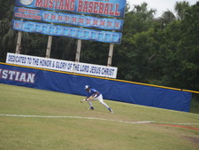 Enlarge photo 32