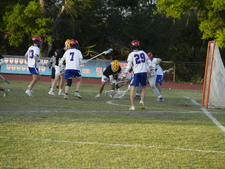Enlarge photo 51