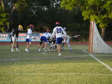 Enlarge photo 59