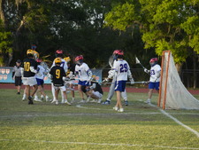Enlarge photo 71
