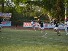 Enlarge photo 80