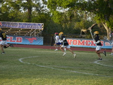 Enlarge photo 83