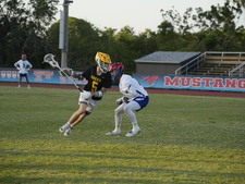 Enlarge photo 135