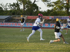 Enlarge photo 143