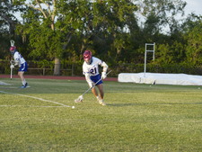 Enlarge photo 171