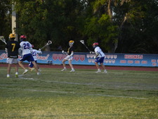 Enlarge photo 208
