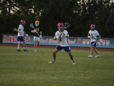Enlarge photo 231