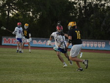 Enlarge photo 232