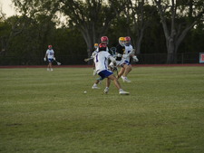 Enlarge photo 250