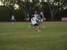 Enlarge photo 251