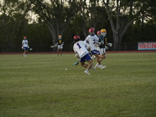 Enlarge photo 252