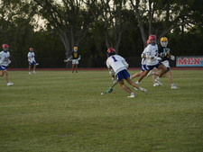Enlarge photo 254