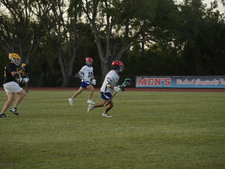 Enlarge photo 257