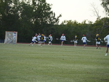Enlarge photo 306