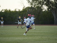 Enlarge photo 312