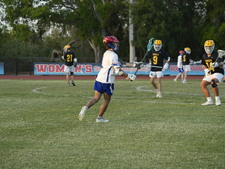 Enlarge photo 340