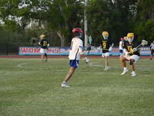Enlarge photo 342