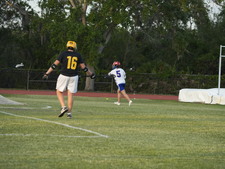 Enlarge photo 349