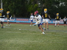 Enlarge photo 369