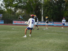 Enlarge photo 376