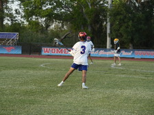 Enlarge photo 381