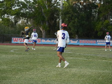 Enlarge photo 382