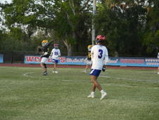 Enlarge photo 383