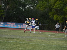 Enlarge photo 413