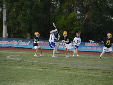 Enlarge photo 425