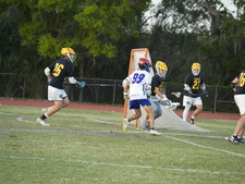 Enlarge photo 482
