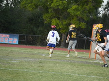 Enlarge photo 499