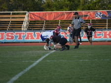 Enlarge photo 14