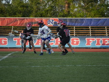 Enlarge photo 42