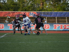 Enlarge photo 43