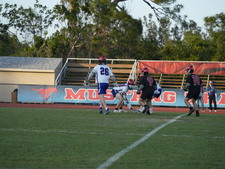 Enlarge photo 46