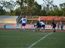 Enlarge photo 49