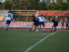 Enlarge photo 52