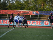 Enlarge photo 57