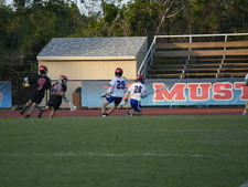 Enlarge photo 61
