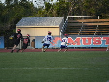 Enlarge photo 62