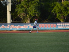 Enlarge photo 85