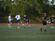 Enlarge photo 219