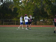 Enlarge photo 223