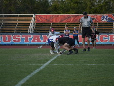 Enlarge photo 234