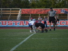 Enlarge photo 235
