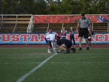 Enlarge photo 236