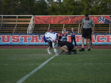 Enlarge photo 238