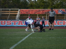 Enlarge photo 239