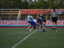 Enlarge photo 240